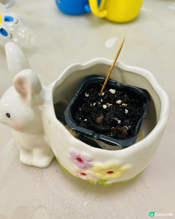 獨家【大館】🎁送您小禮物🎁