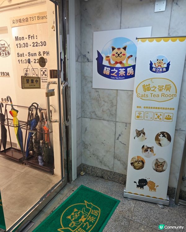 😽假日活動就係去搵主子😽
