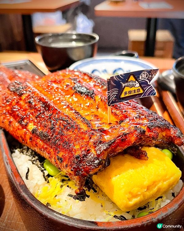 必試期間限定巨型沙羅鰻蛇‼️