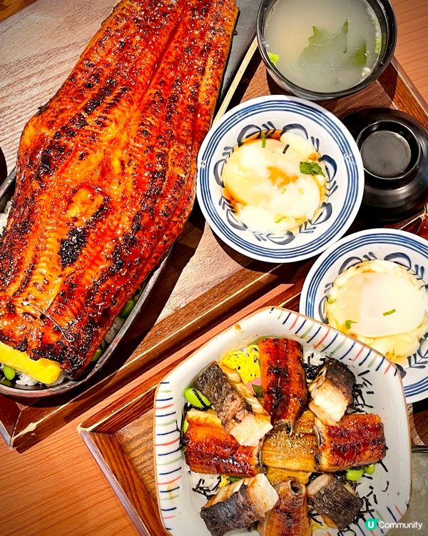 必試期間限定巨型沙羅鰻蛇‼️