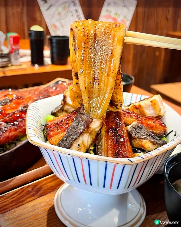 必試期間限定巨型沙羅鰻蛇‼️