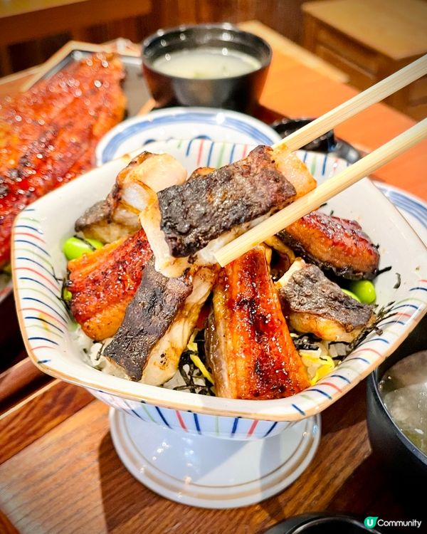 必試期間限定巨型沙羅鰻蛇‼️