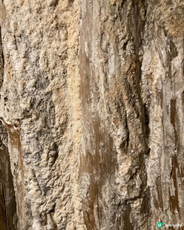 波蘭世界遺產-鹽礦