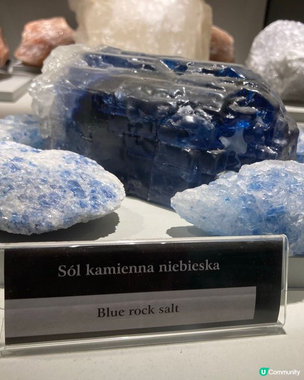 波蘭世界遺產-鹽礦