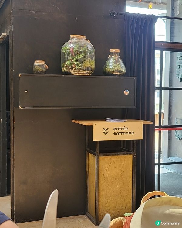 是日午餐