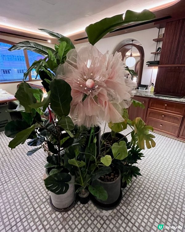 🇭🇰香江花月，重溫舊香港！