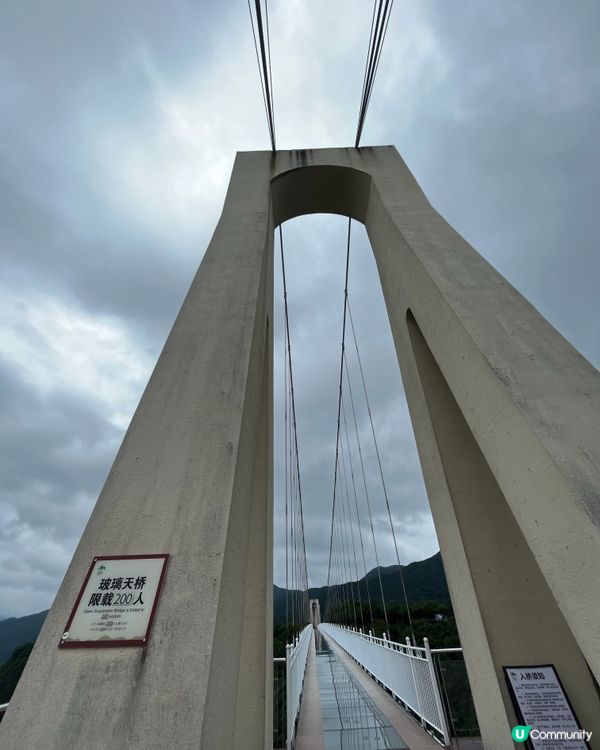 Glass Suspension Bridge #好去處#c...