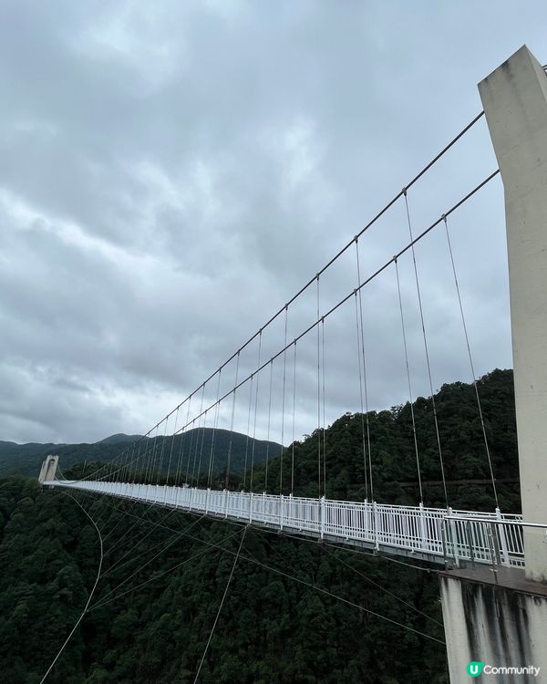 Glass Suspension Bridge #好去處#c...