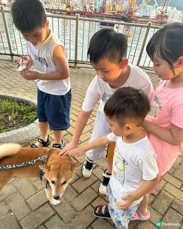 去了大角咀海輝道公園看海景和遊玩,和去了斧山道游泳池游水。