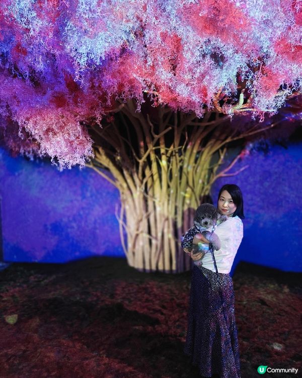 夏天去了不同?地方！商場可以嘆冷氣、公園可以散步、仲去?睇展...