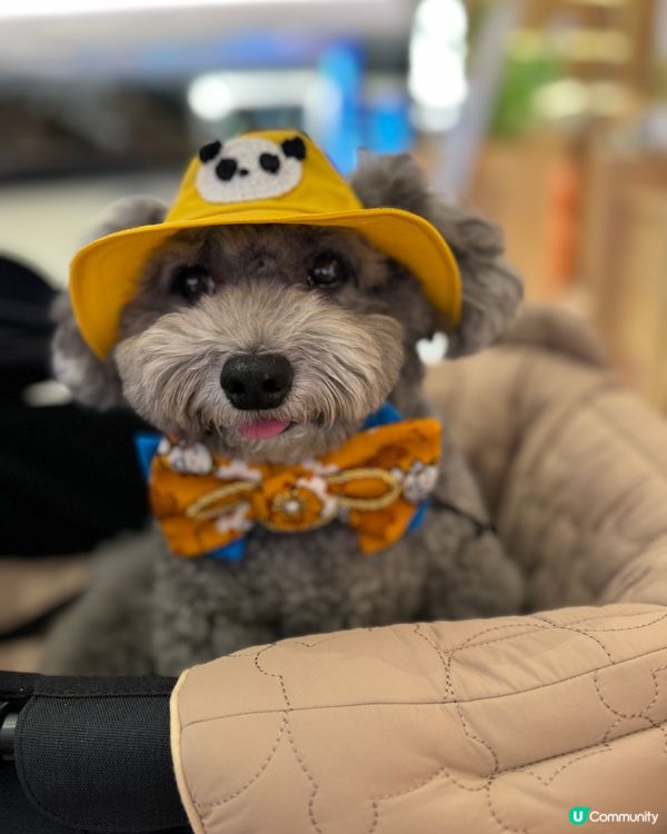 夏天去了不同?地方！商場可以嘆冷氣、公園可以散步、仲去?睇展...