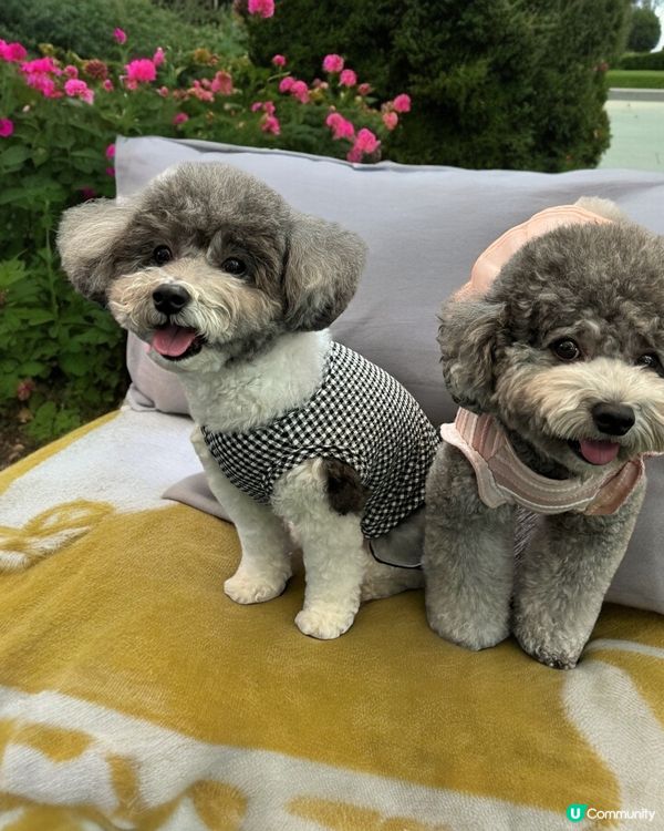 夏天去了不同?地方！商場可以嘆冷氣、公園可以散步、仲去?睇展...