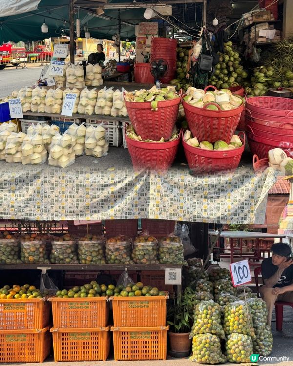 全球暖化問題越黎越嚴重，泰國、日本、香港等地都比過往酷熱。 