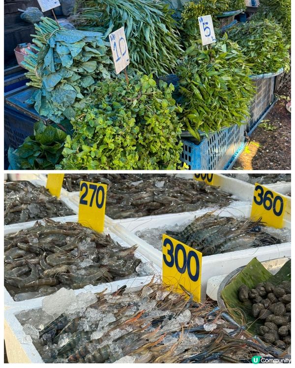 全球暖化問題越黎越嚴重，泰國、日本、香港等地都比過往酷熱。 