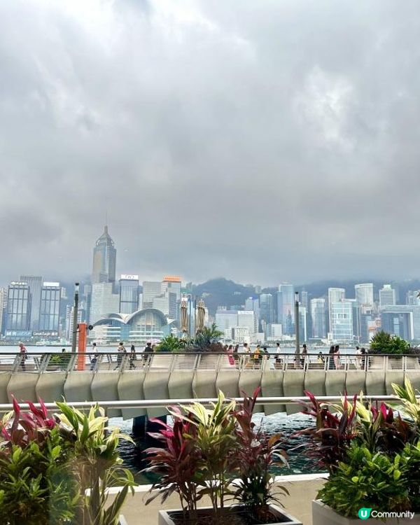 多年後朝聖🍽️Lunch Buffet⛲️Regent Hong Kong