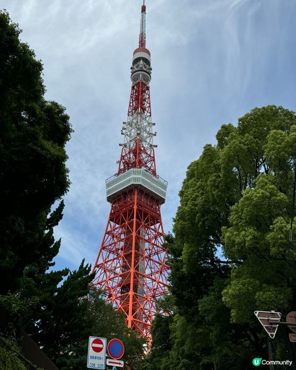 陽光閃耀下的東京鐵塔🗼  