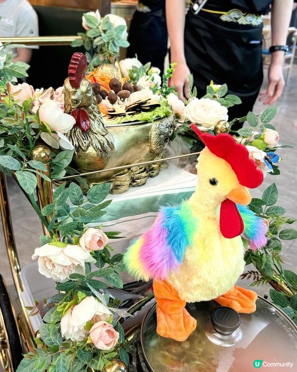 深圳必食！野生菌菇土雞鍋🍲