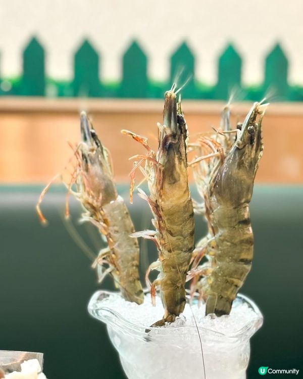 深圳必食！野生菌菇土雞鍋🍲