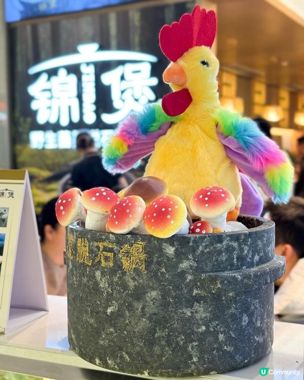 深圳必食！野生菌菇土雞鍋🍲