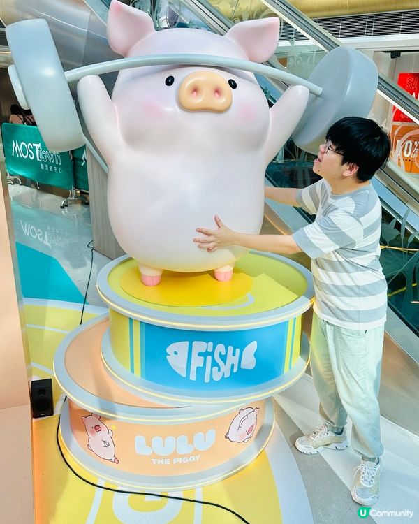 🐷 馬鞍山見證5.5高露露豬！ 🏆