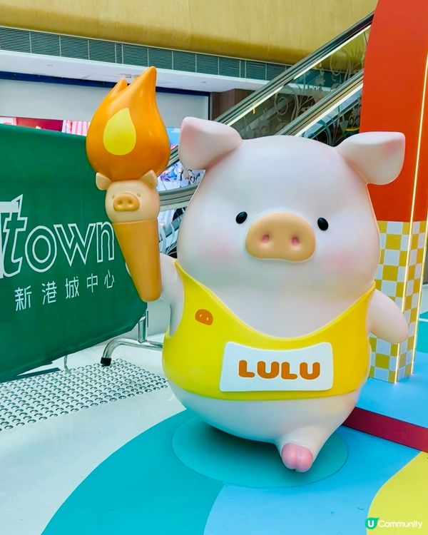🐷 馬鞍山見證5.5高露露豬！ 🏆