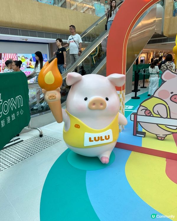 🐷 馬鞍山見證5.5高露露豬！ 🏆