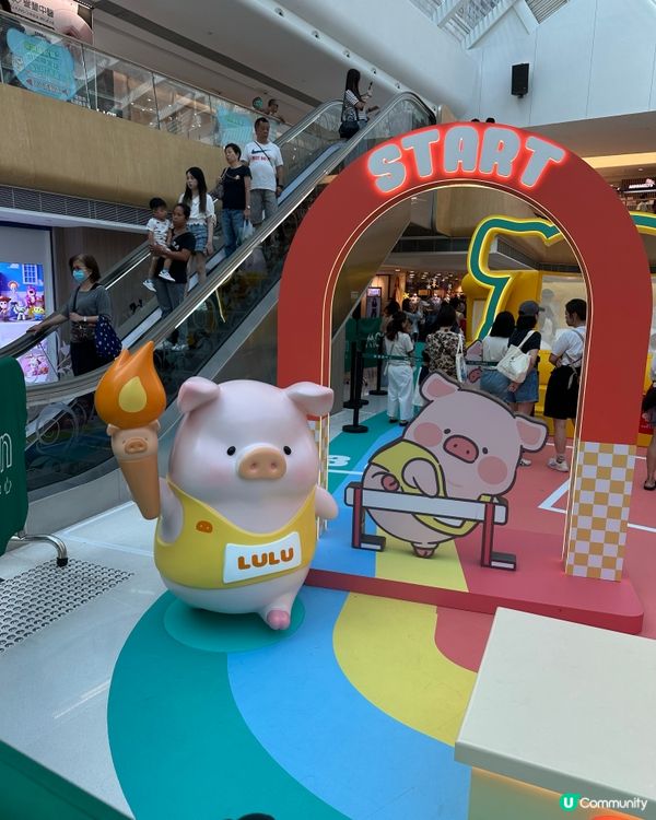 🐷 馬鞍山見證5.5高露露豬！ 🏆