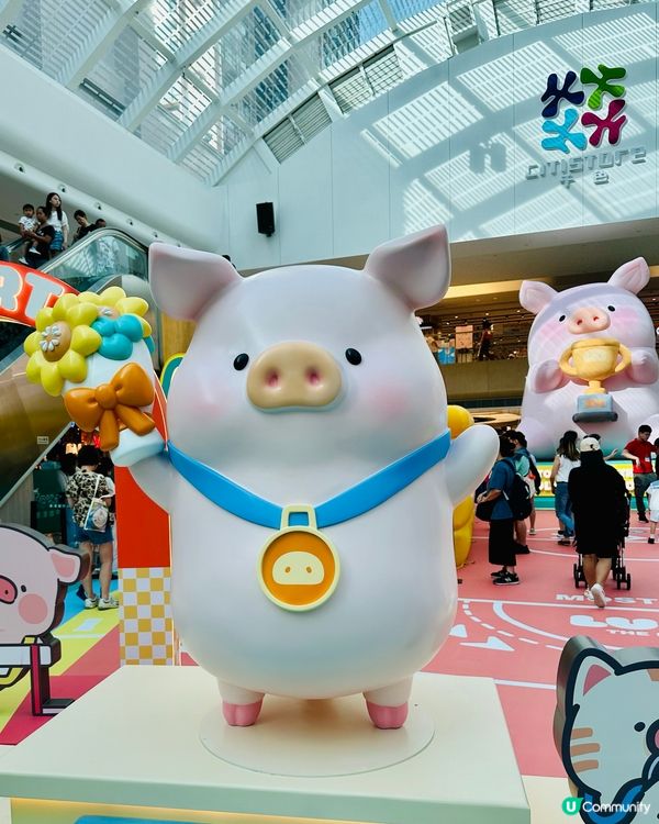 🐷 馬鞍山見證5.5高露露豬！ 🏆