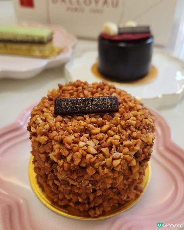 必吃法式甜品DALLOYAU😋