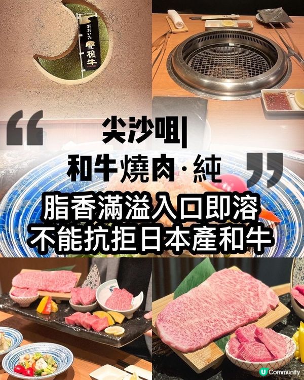 尖沙咀和牛燒肉純🤤  環境靚，肉質一流！