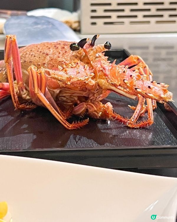 銅鑼灣鐵板燒🔥 御鐵 🥢 2788 兩人食澳龍鮑魚！