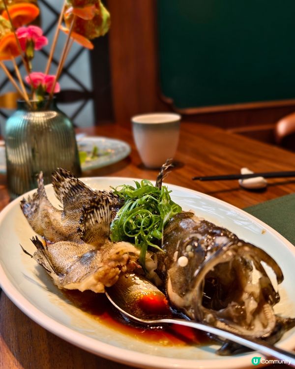 木棉，醉心粵味