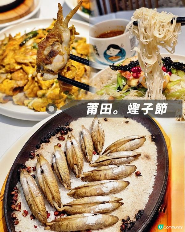 蟶子來了！