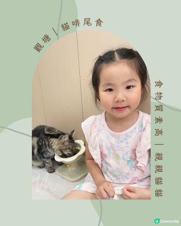 觀塘｜貓啡尾食