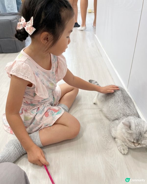 觀塘｜貓啡尾食