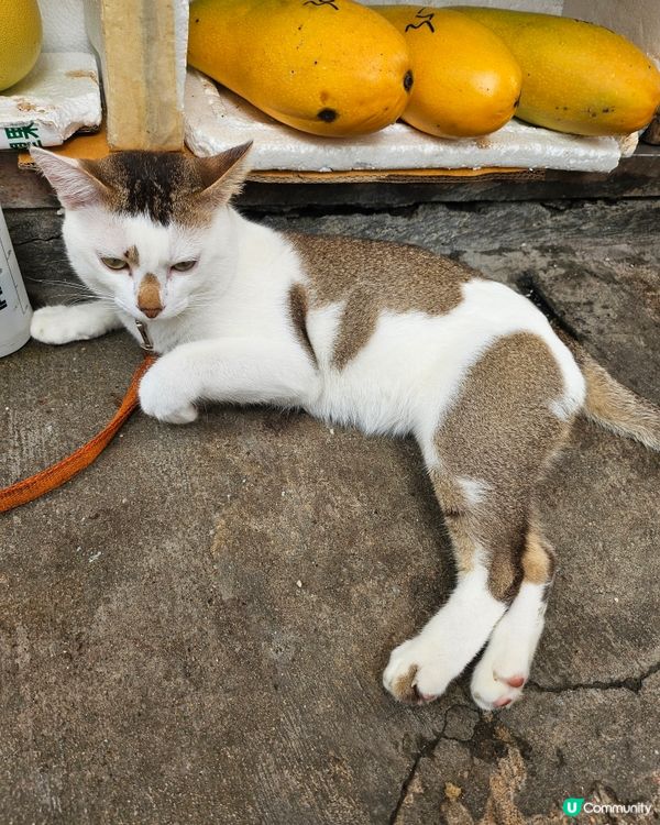 長腿銷魂寶寶🤤🤤🤤🤤😍❤️