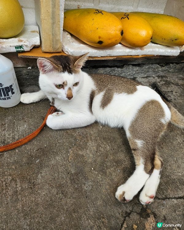 長腿銷魂寶寶🤤🤤🤤🤤😍❤️