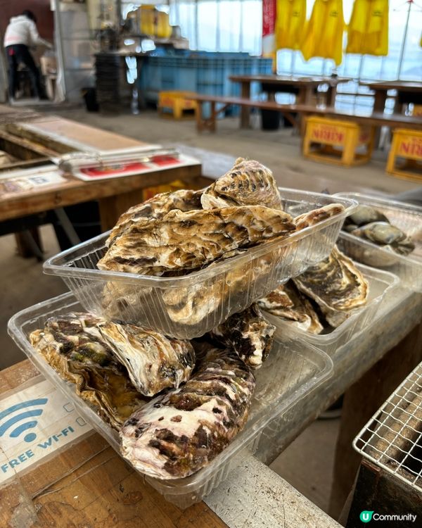 日本福岡丨好食又好玩丨必去糸島地道燒蠔🦪