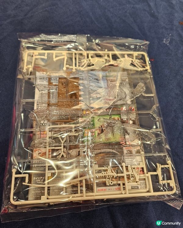 🦖 恐龍模型免費玩！快啲去報名啦！