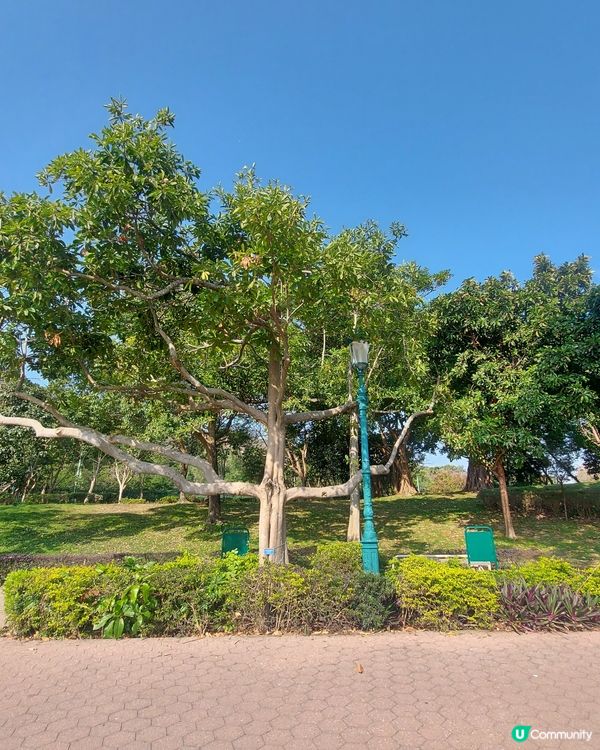 陽光☀️玩遊戲，猜下我去咗邊？🤔