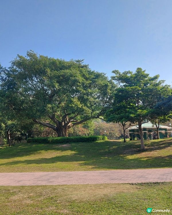 陽光☀️玩遊戲，猜下我去咗邊？🤔