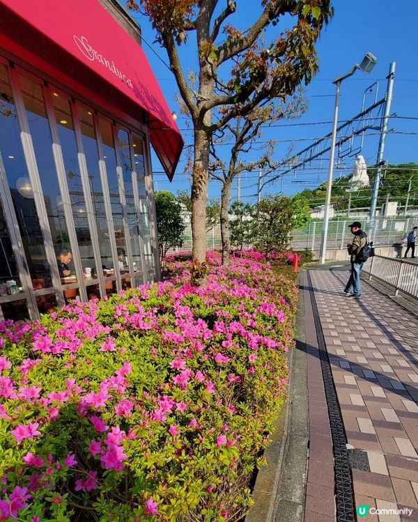 大船駅🚃大船觀音寺