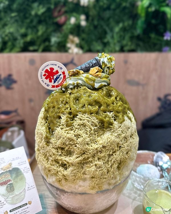 甜姨姨 X 開心果刨冰💚