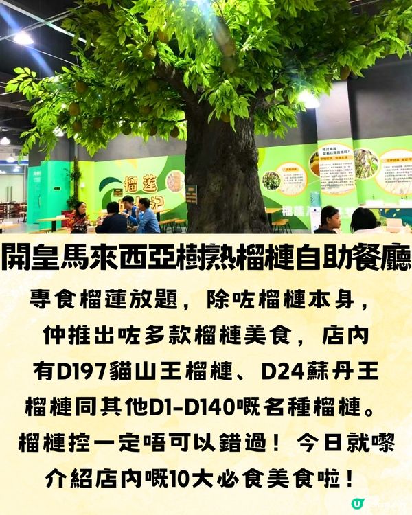 深圳馬來西亞榴槤放題🍽️10大必食榴槤美食推介🔥榴槤控集合‼️