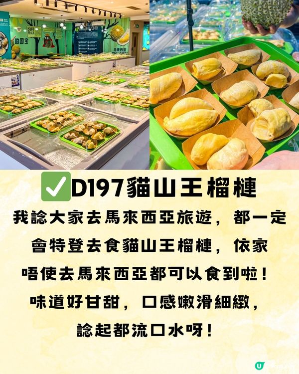 深圳馬來西亞榴槤放題🍽️10大必食榴槤美食推介🔥榴槤控集合‼️