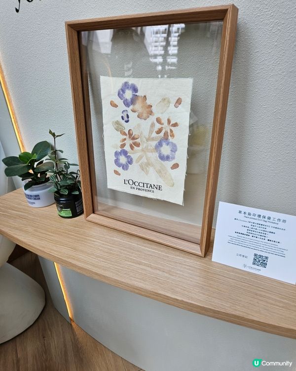 L'OCCITANE 送11件sample 