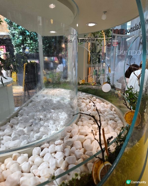 L'OCCITANE 送11件sample 