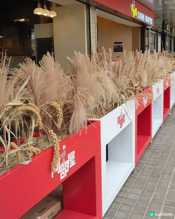 大埔豚肉早餐😋  勁抵食！