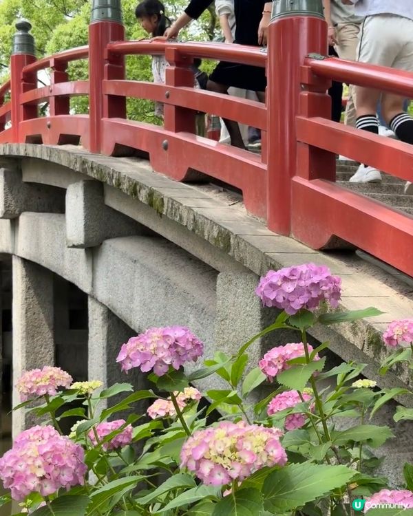 福岡必去！太宰府天滿宮半日遊攻略