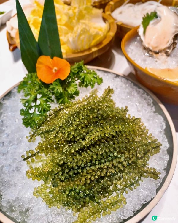 深圳探店 人均120超抵食泰式邊爐🫕